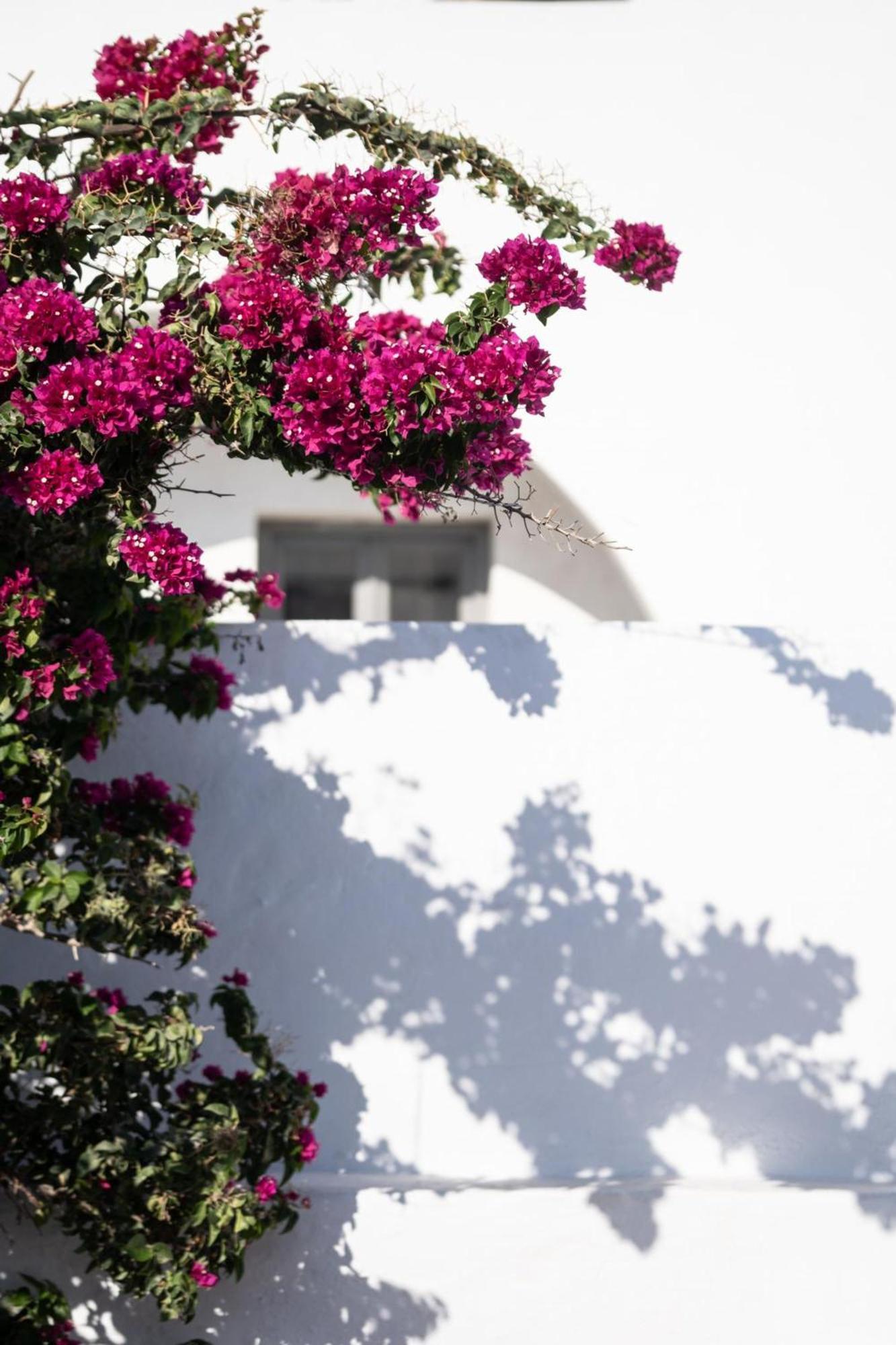 Rosaviglia Luxury Villa - An Oia Private Hideaway Εξωτερικό φωτογραφία